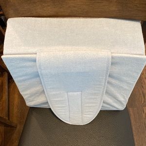 Gold Bug Wedge Pillow